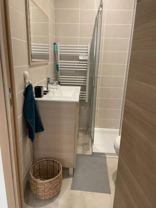 Appartement P3 En Centre
